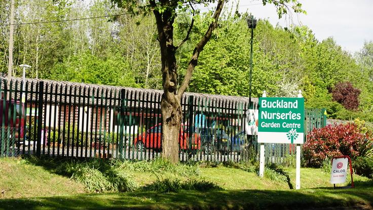 Buckland Nurseries garden centre