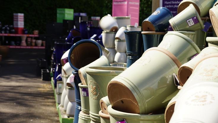 Buckland Nurseries garden centre