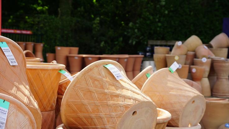 Buckland Nurseries garden centre