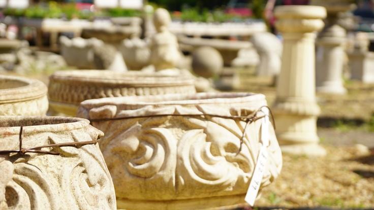 Buckland Nurseries garden centre