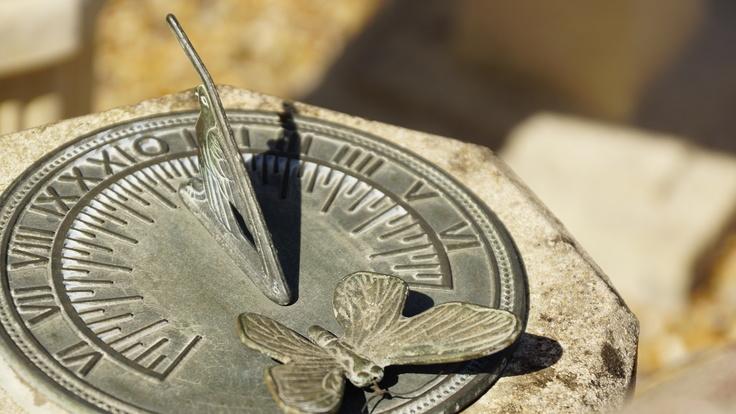 Buckland Nurseries garden centre