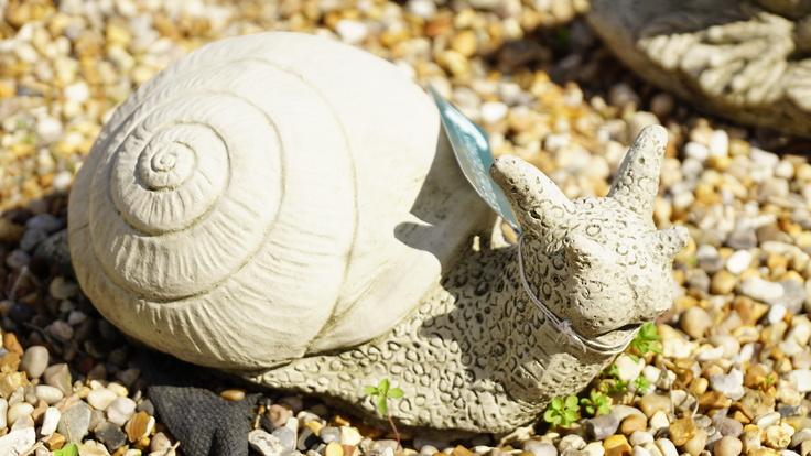 Buckland Nurseries garden centre