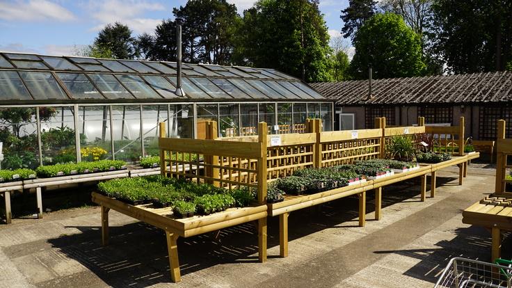 Buckland Nurseries garden centre