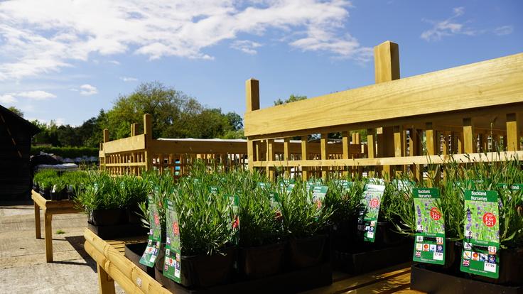 Buckland Nurseries garden centre