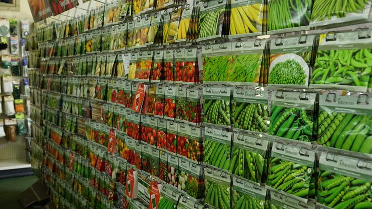 Buckland Nurseries garden centre