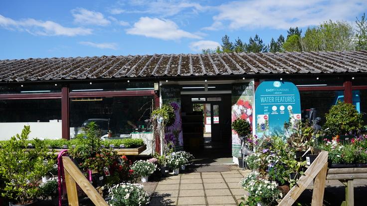 Buckland Nurseries garden centre