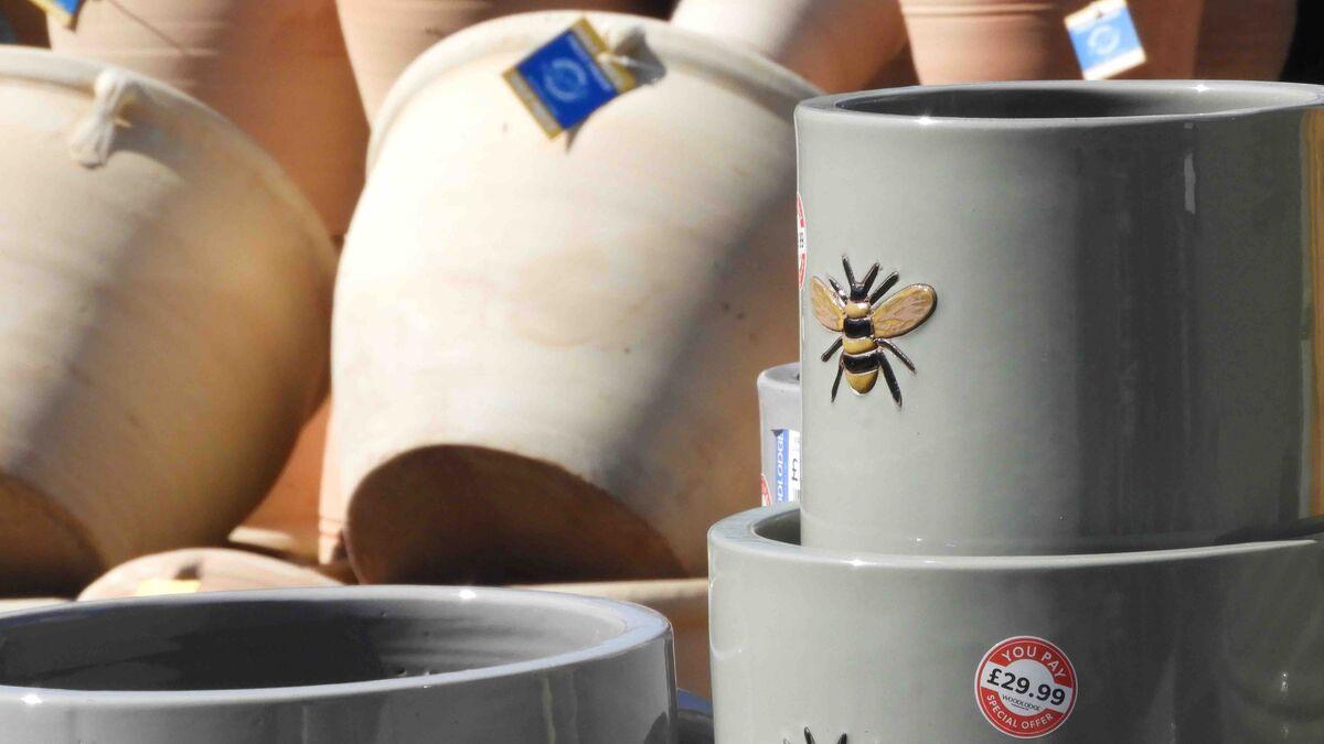 Buckland Nurseries garden centre