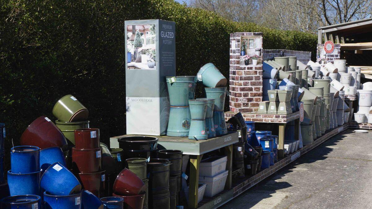 Buckland Nurseries garden centre