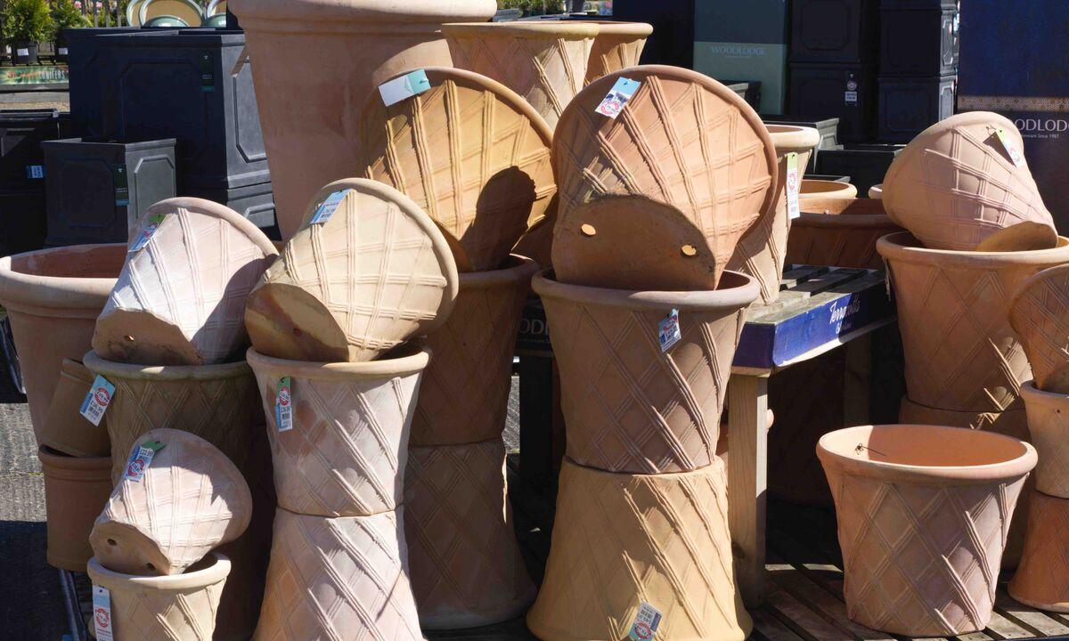 Buckland Nurseries garden centre