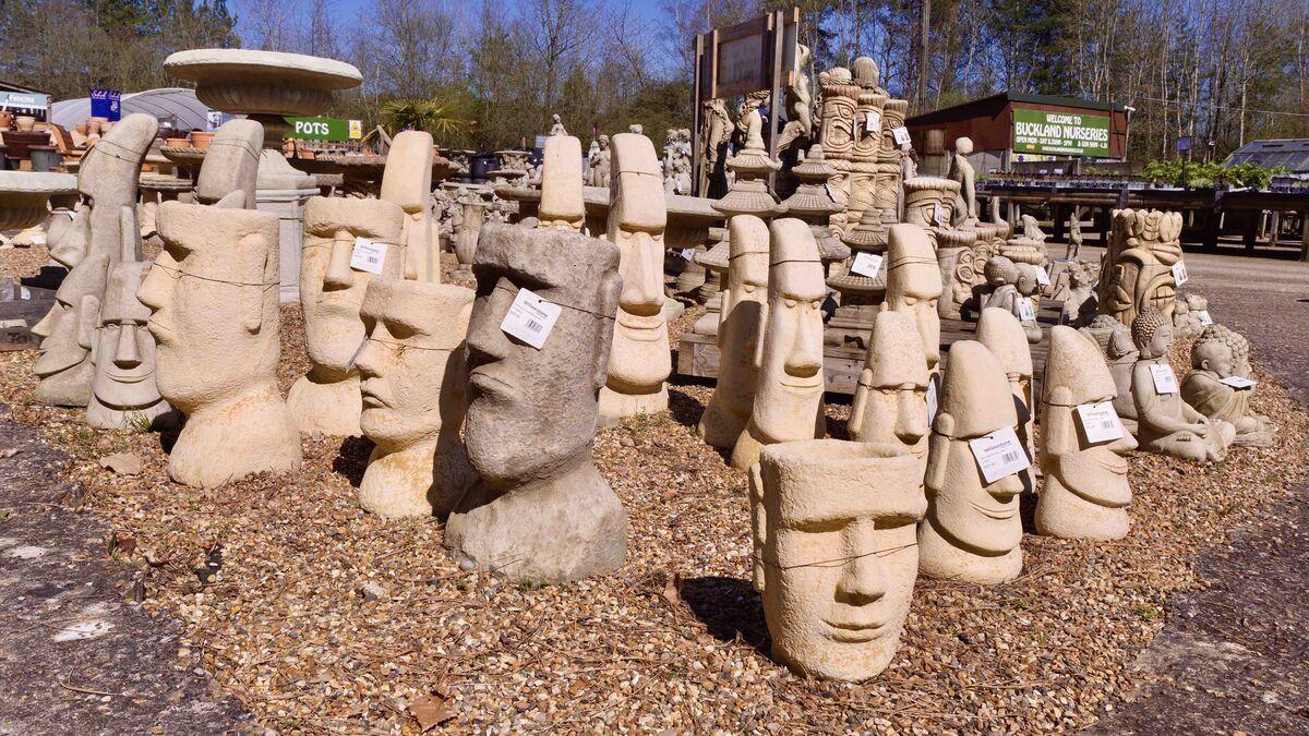 Buckland Nurseries garden centre