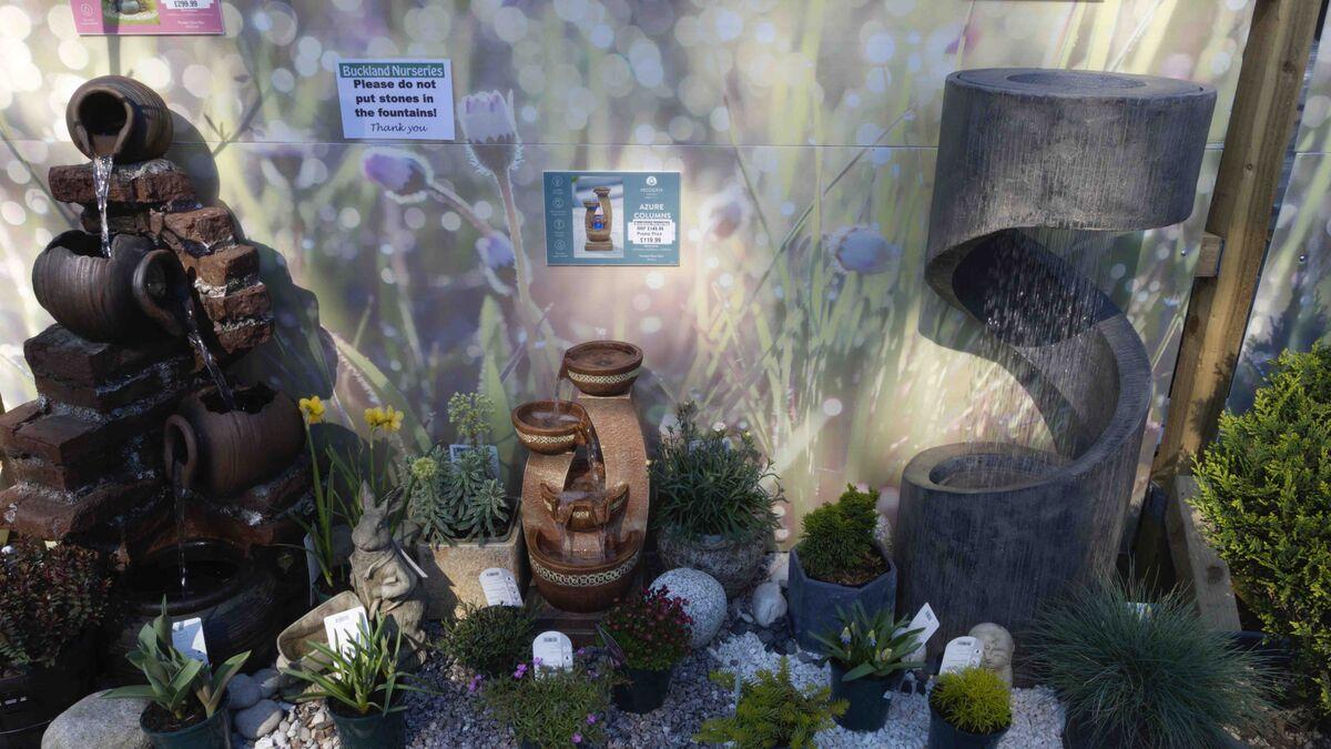 Buckland Nurseries garden centre